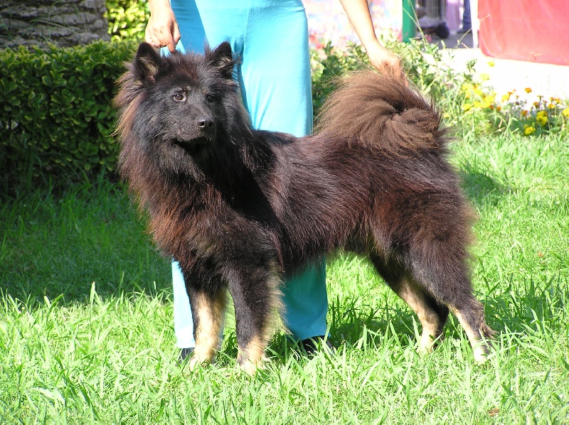 CH. Another baloo (Sans Affixe)