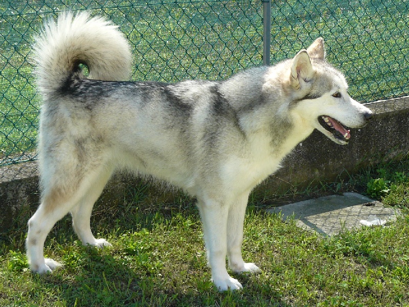 Margaret tatcher (Sans Affixe)