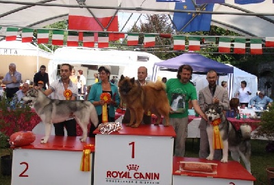 of the Nordic Dream - Doggy a gagné le group à la National de Laveno (VA) Italie