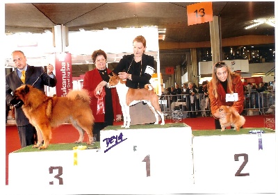 of the Nordic Dream - Doggy 3éme au group à Lausanne (CH)