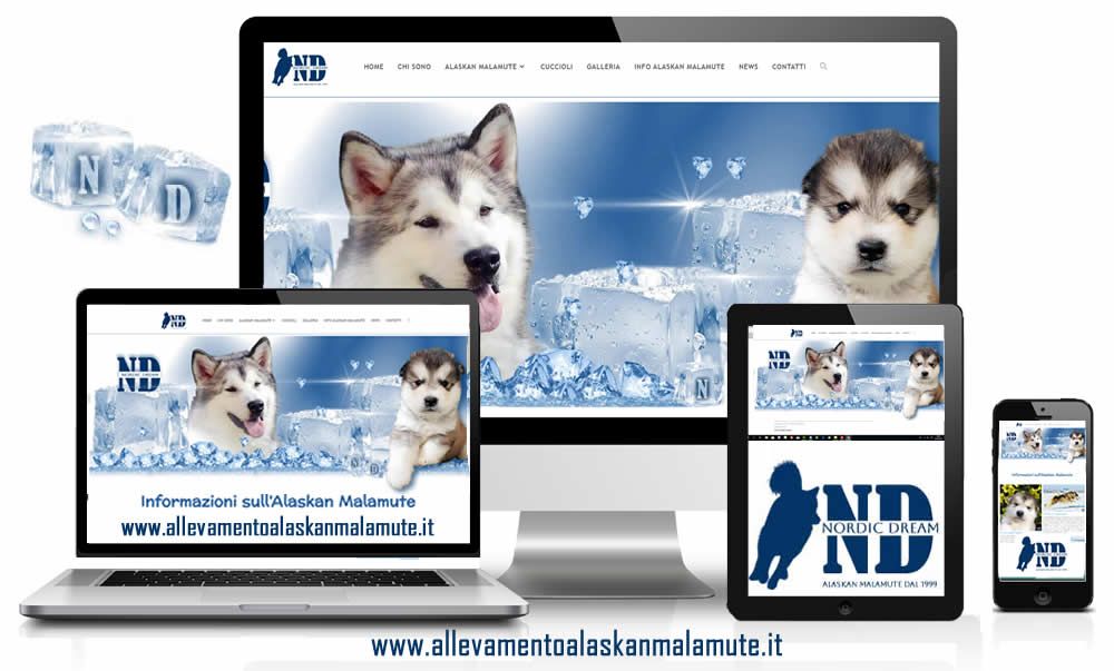 of the Nordic Dream - Nouveau site internet