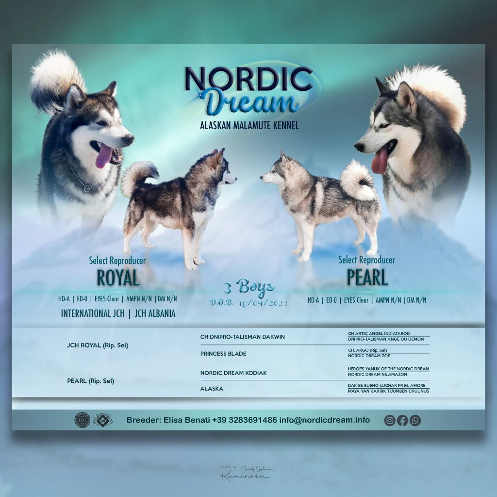 of the Nordic Dream - Les bebes